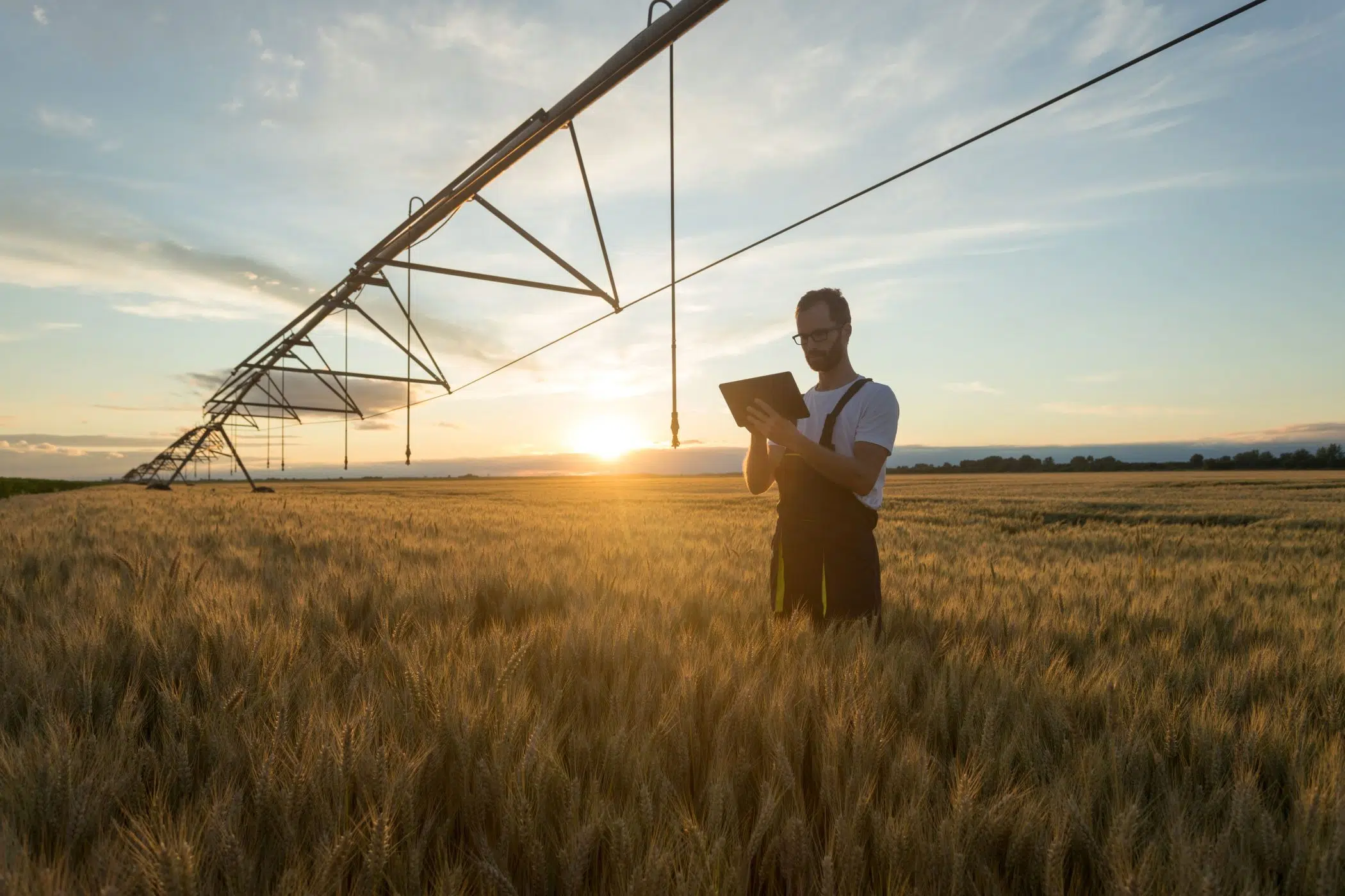 farmer in crop field on tablet for machinery image